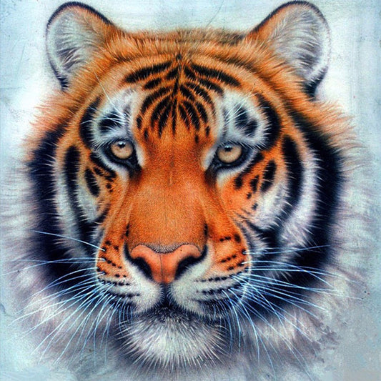Diamond Painting - Full Round - Tiger B