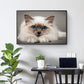 5D DIY Diamond Painting Kit - Full Round - Birman Cat