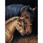 5D Diy Diamond Painting Kit Full Round Beads Horse