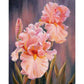 5D Diy Diamond Painting Kit Full Round Beads Pink Flower