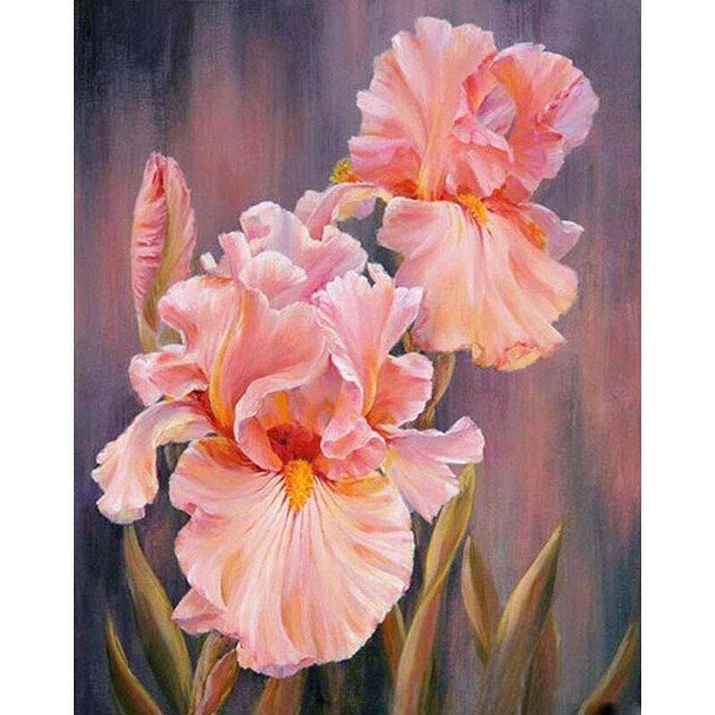 5D Diy Diamond Painting Kit Full Round Beads Pink Flower