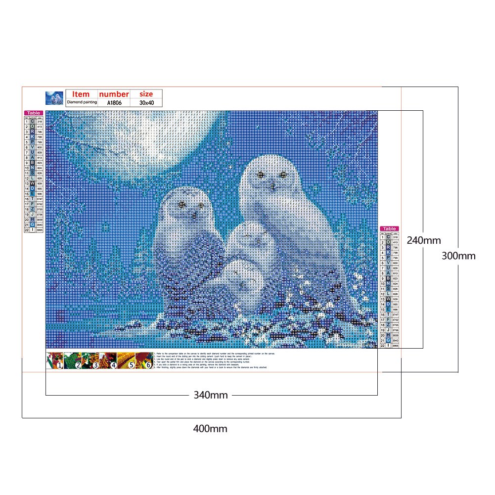 5D DIY Diamond Painting Kit - Full Round - Snow Owls