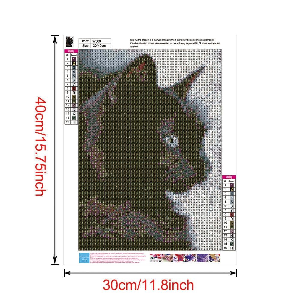 5D DIY Diamond Painting Kit - Full Round - Black Cat A