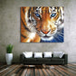 5D Diy Diamond Painting - Full Round - Tiger