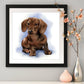 Diamond Painting - Full Round - Dog 1