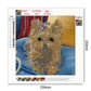 Diamond Painting - Partial Round - Dog F