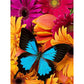 butterfly with flower diamond art