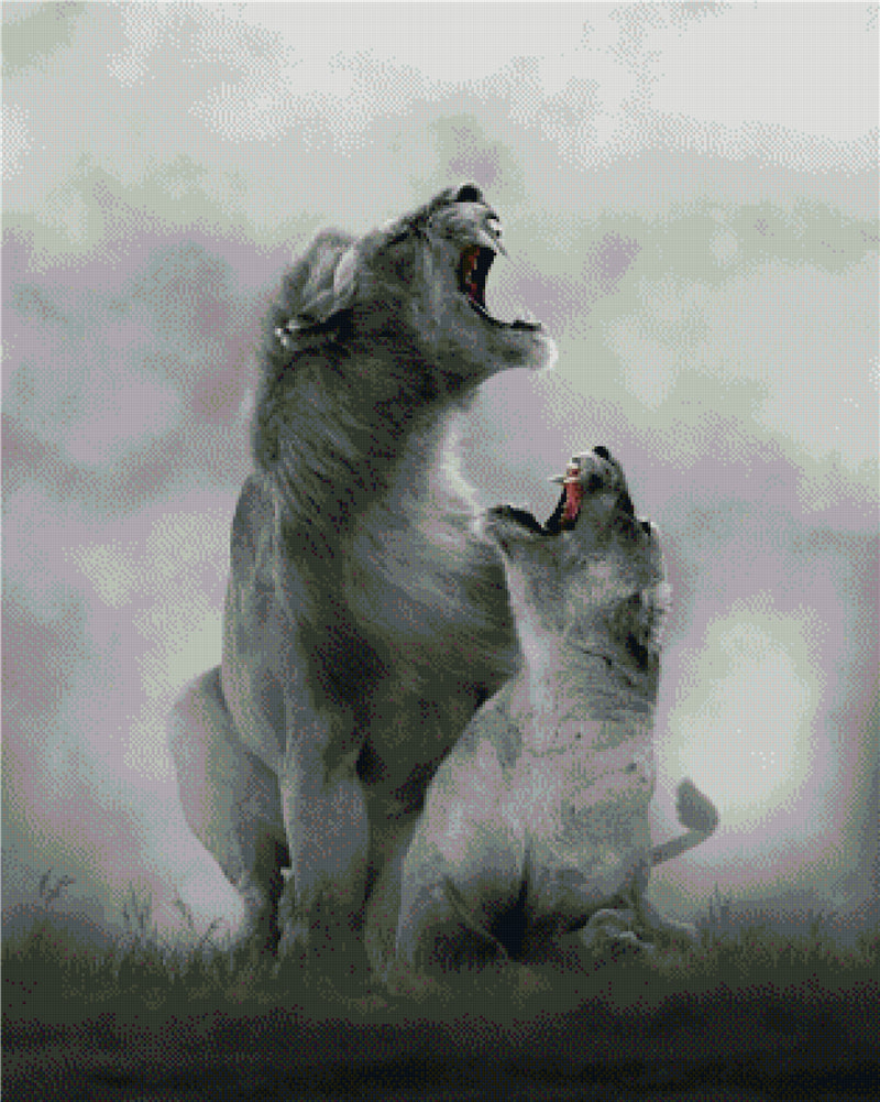 Full Round/Square Diamond Painting Kits | Lion 40x50cm 50x70cm