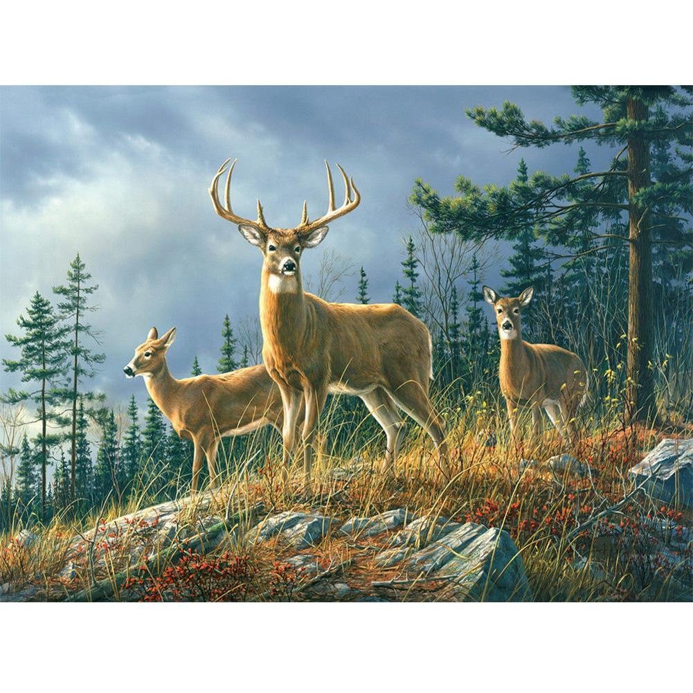 5D Diy Diamond Painting Kit Full Round Beads Forest Deer