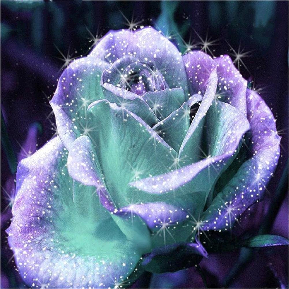5D Diy Diamond Painting Kit Full Round Beads Shine Rose
