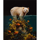 Diamond Paintings Art Full Drill Animal & Plants