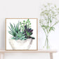 Diamond Painting - Full Round / Square -  Succulent