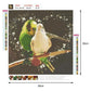 Diamond Painting - Full Round - Parrot C