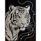 DIY Pearl Painting With Frame - Handmade Self-Adhesive Pearls - Tiger (30*40cm)