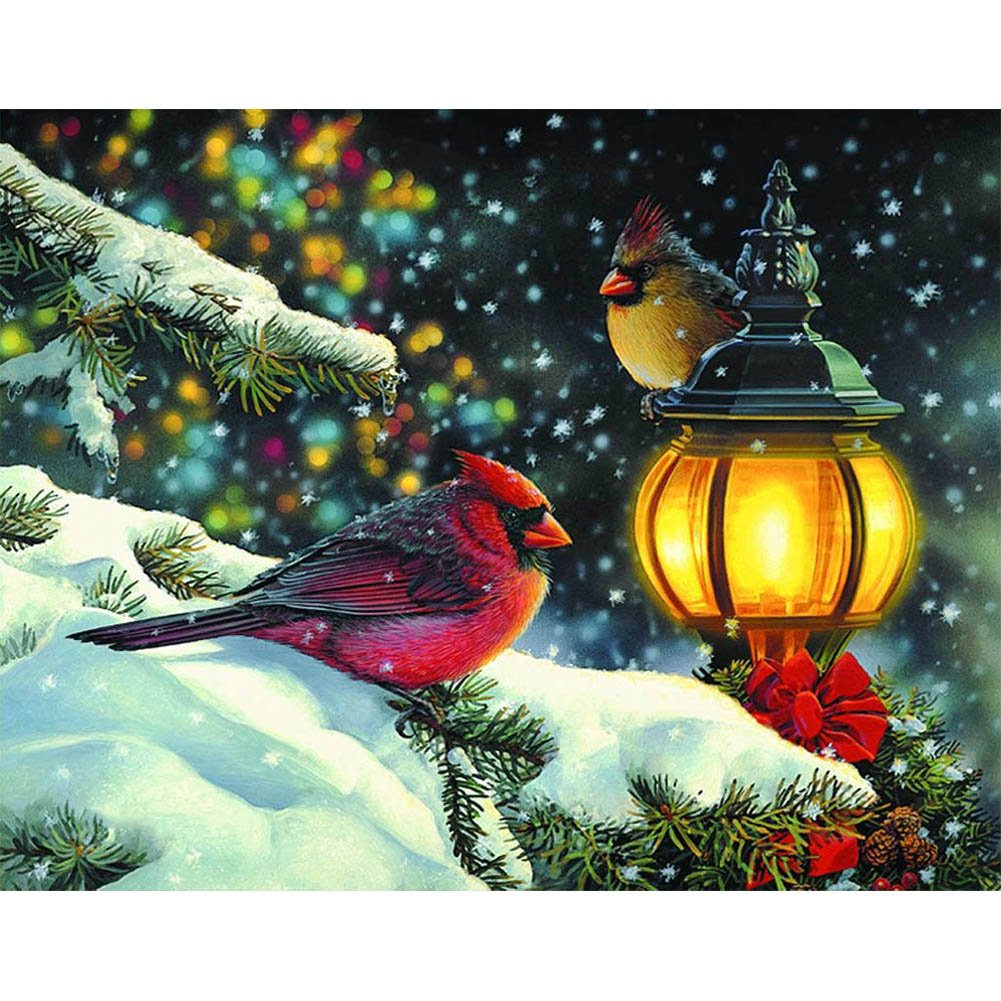 5D Diy Diamond Painting Kit Full Round Beads Winter Birds