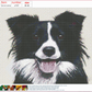 Diamond Painting - Full Round - Dog 16