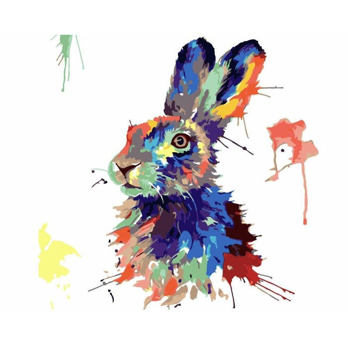 Paint By Number Oil Painting Craft Home Wall Decor Color Rabbit