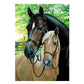 5D Diy Diamond Painting Kit Full Round Beads Close Horse