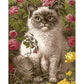 Paint By Number Oil Painting Animal Hand Painted Art Picture Home Decor