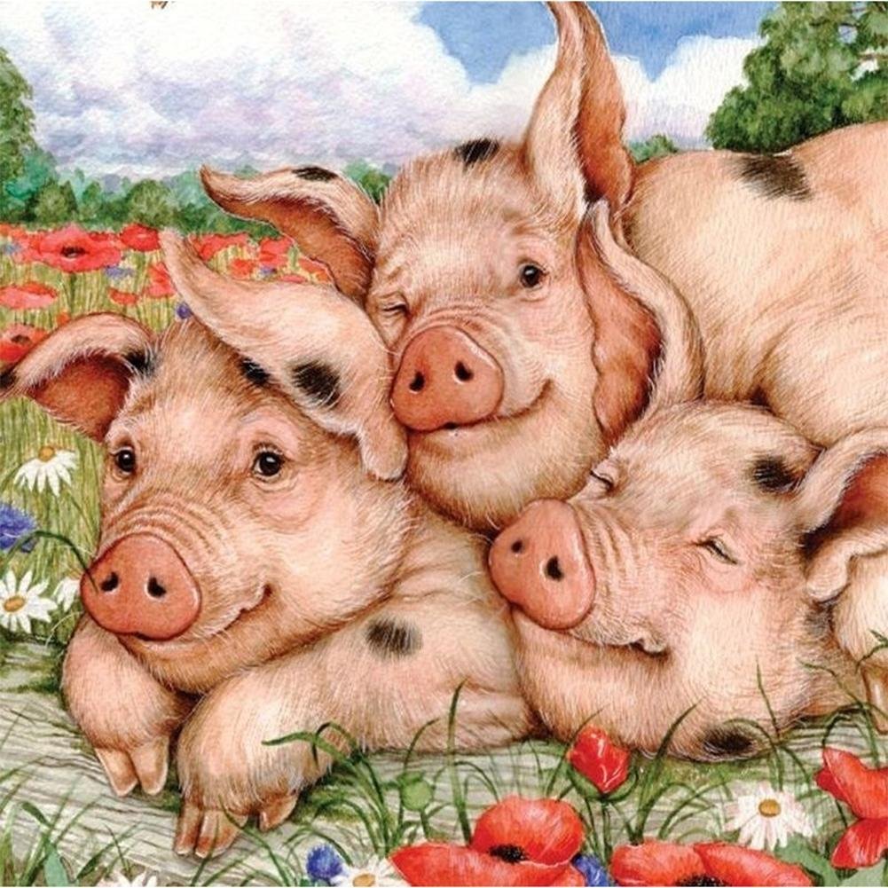 5D Diy Diamond Painting Kit Full Round Beads Pink Pig