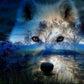 5D Diy Diamond Painting Kit Full Round Beads Wolf Forest