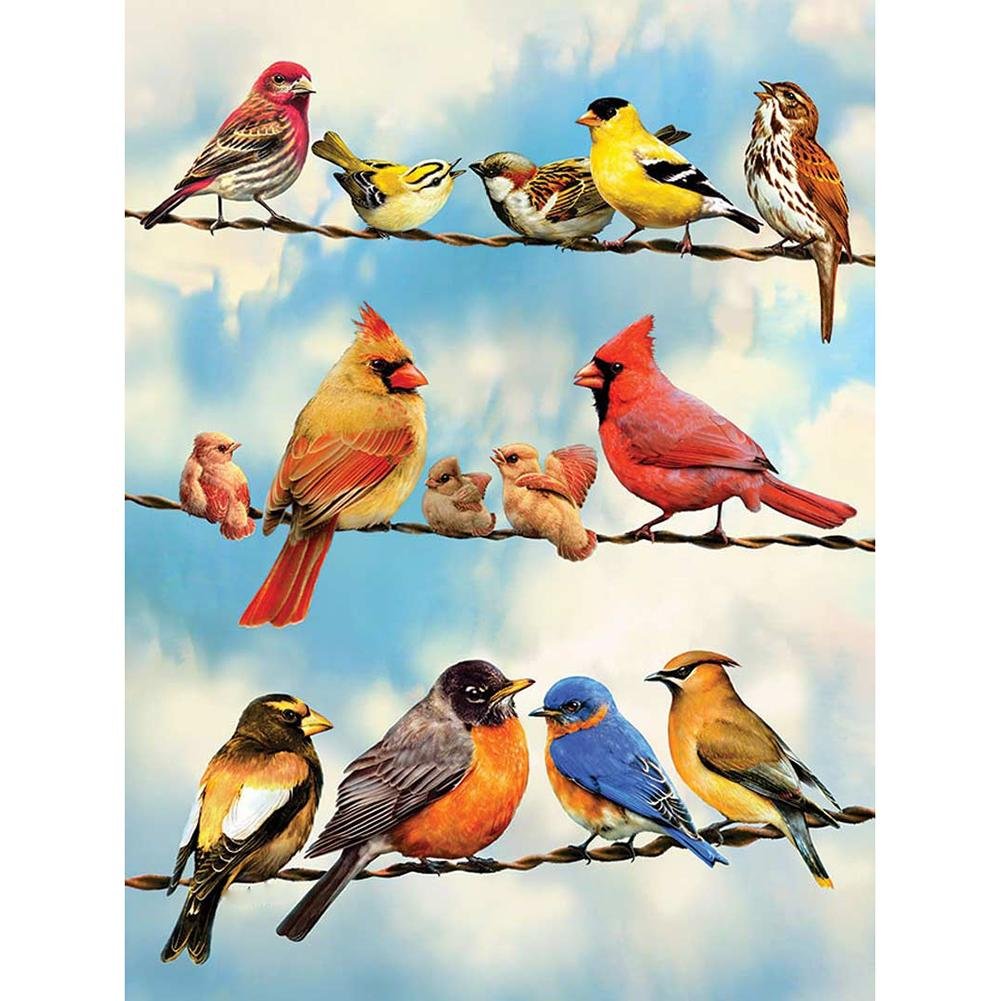 5D Diy Diamond Painting Kit Full Round Beads Birds