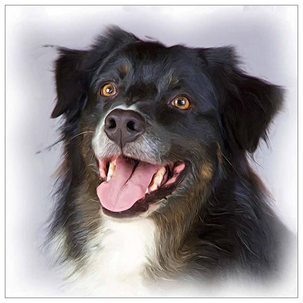 Diamond Painting - Full Round - Dog