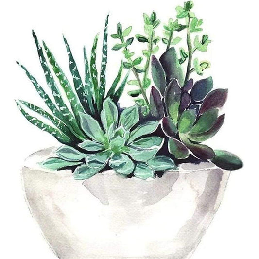 Diamond Painting - Full Round -  Succulent