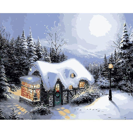 Paint By Number Oil Painting Color Drawing Art Picture Beauty Snow