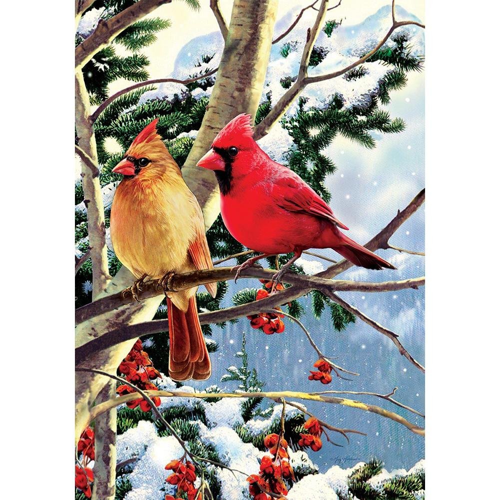 5D Diy Diamond Painting Kit Full Round Beads Snow Birds