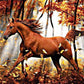 Diamond Painting - Full Round - Horse