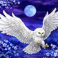 5D Diy Diamond Painting Kit Full Round Beads Flying Owl