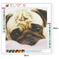 Diamond Painting - Full Round - Dog 6