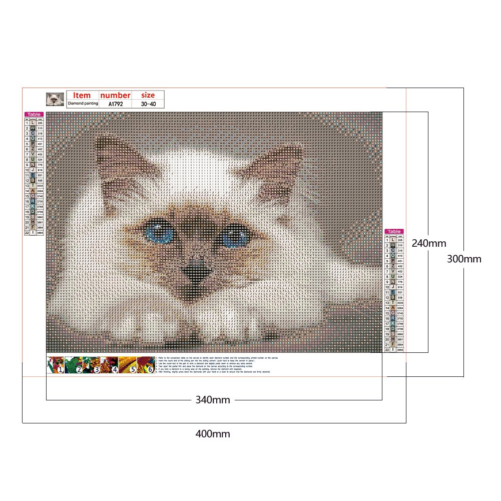 5D DIY Diamond Painting Kit - Full Round - Birman Cat