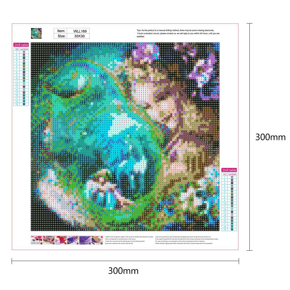 Diamond Painting - Full Round - Novelty Beauty