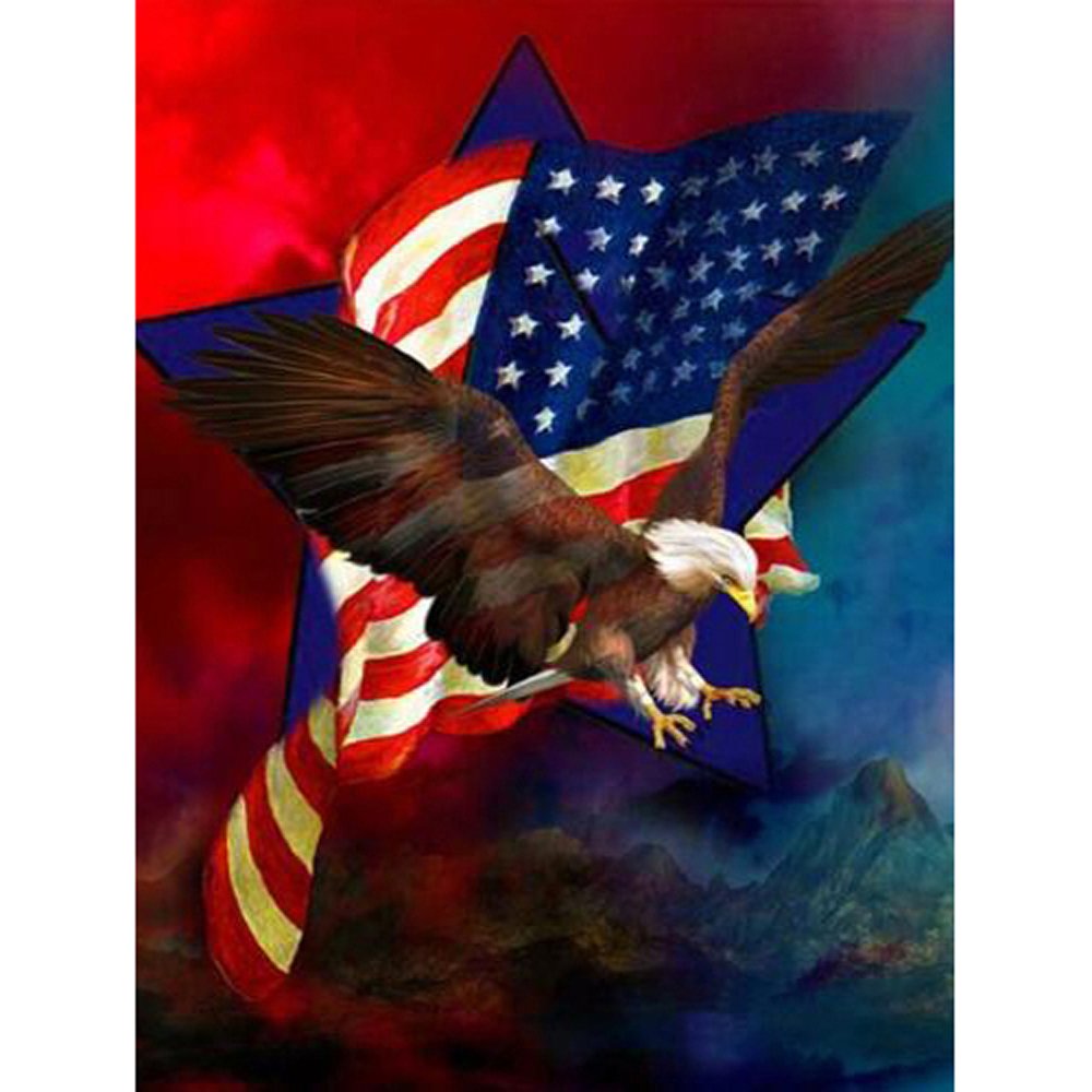 Diamond Paintings Art Full Drill US Flag Eagle