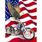 Diamond Paintings Art Full Drill US Flag Eagle