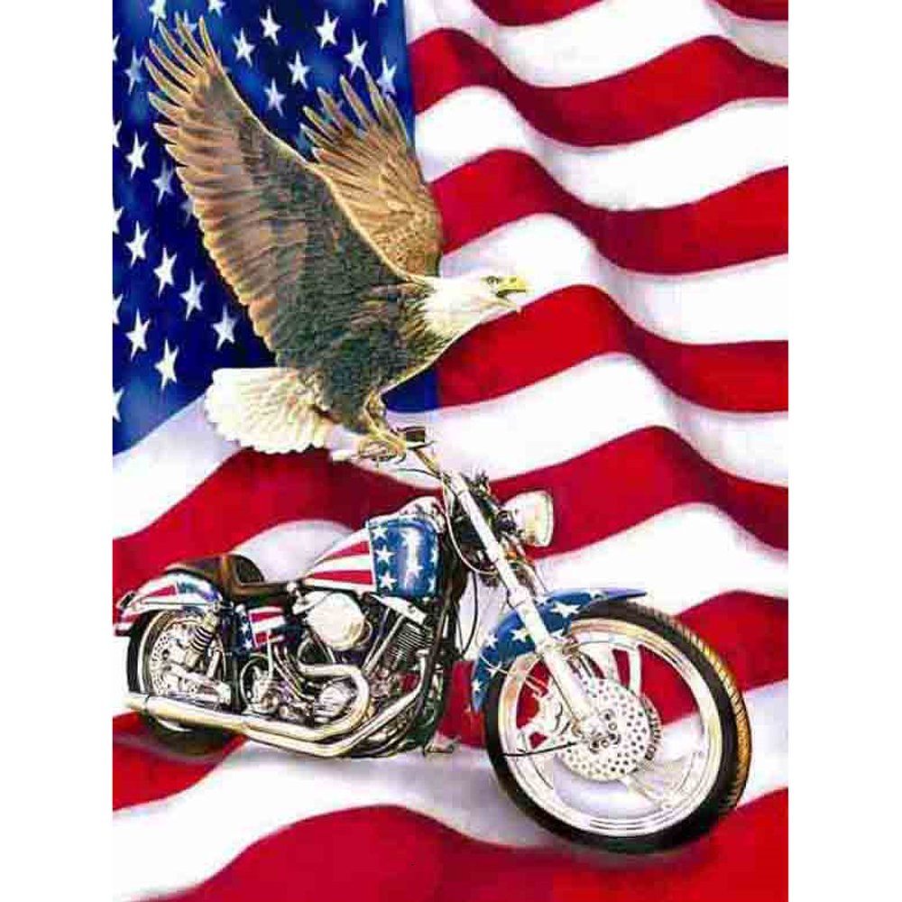 Diamond Paintings Art Full Drill US Flag Eagle