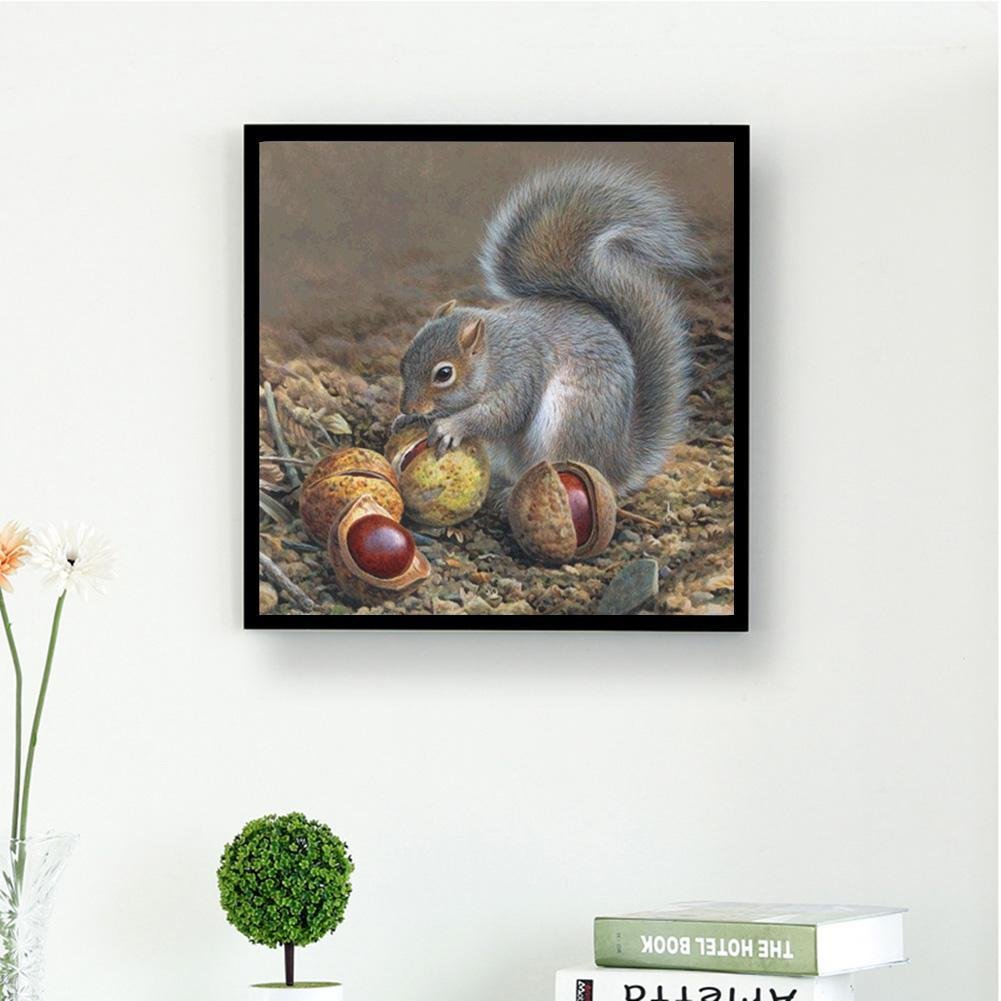 Diamond Painting - Full Round - Squirrel