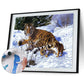 Paint By Number - Oil Painting - Tiger Snow (40*50cm)