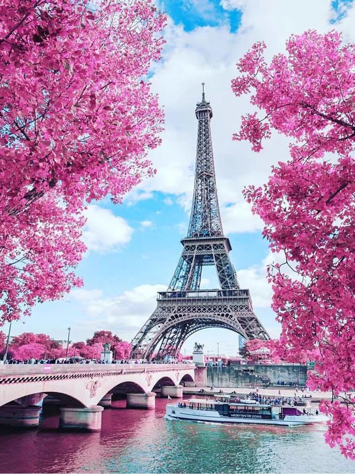 Eiffel Tower and pink flowers Diamond Painting Art 