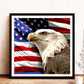 Diamond Painting - Full Round - Eagle (40*40cm) A