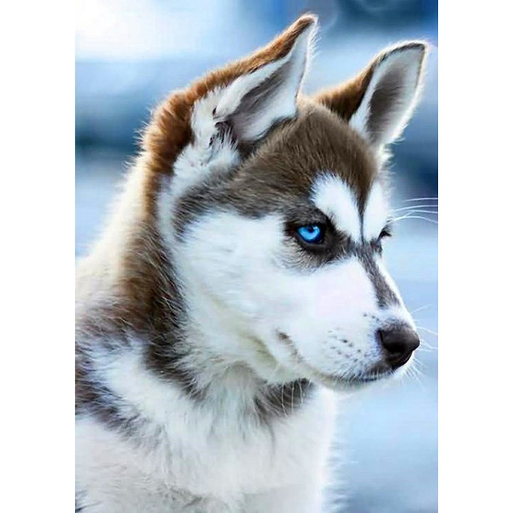 5D Diy Diamond Painting Kit Full Round Beads Dog