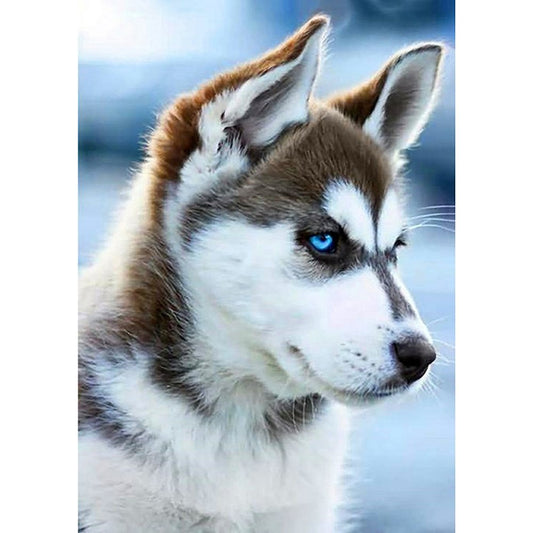 5D Diy Diamond Painting Kit Full Round Beads Dog