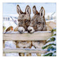 5D Diy Diamond Painting Kit Full Round Beads Little Donkey
