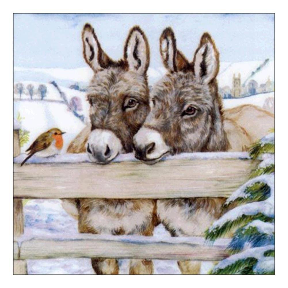5D Diy Diamond Painting Kit Full Round Beads Little Donkey