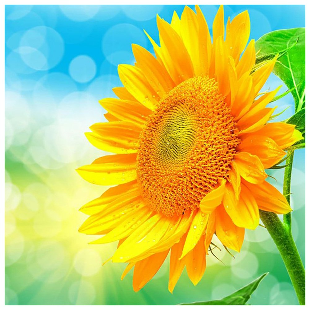 Diamond Painting - Full Round - Sunflower