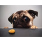 Frightened Dog Oil Painting By Number Picture Acrylic Canvas Wall Art Craft