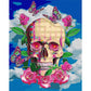 Paint By Number Oil Painting Skeleton (40*50cm)