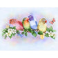 5D Diy Diamond Painting Kit Full Round Beads Colorful Birds
